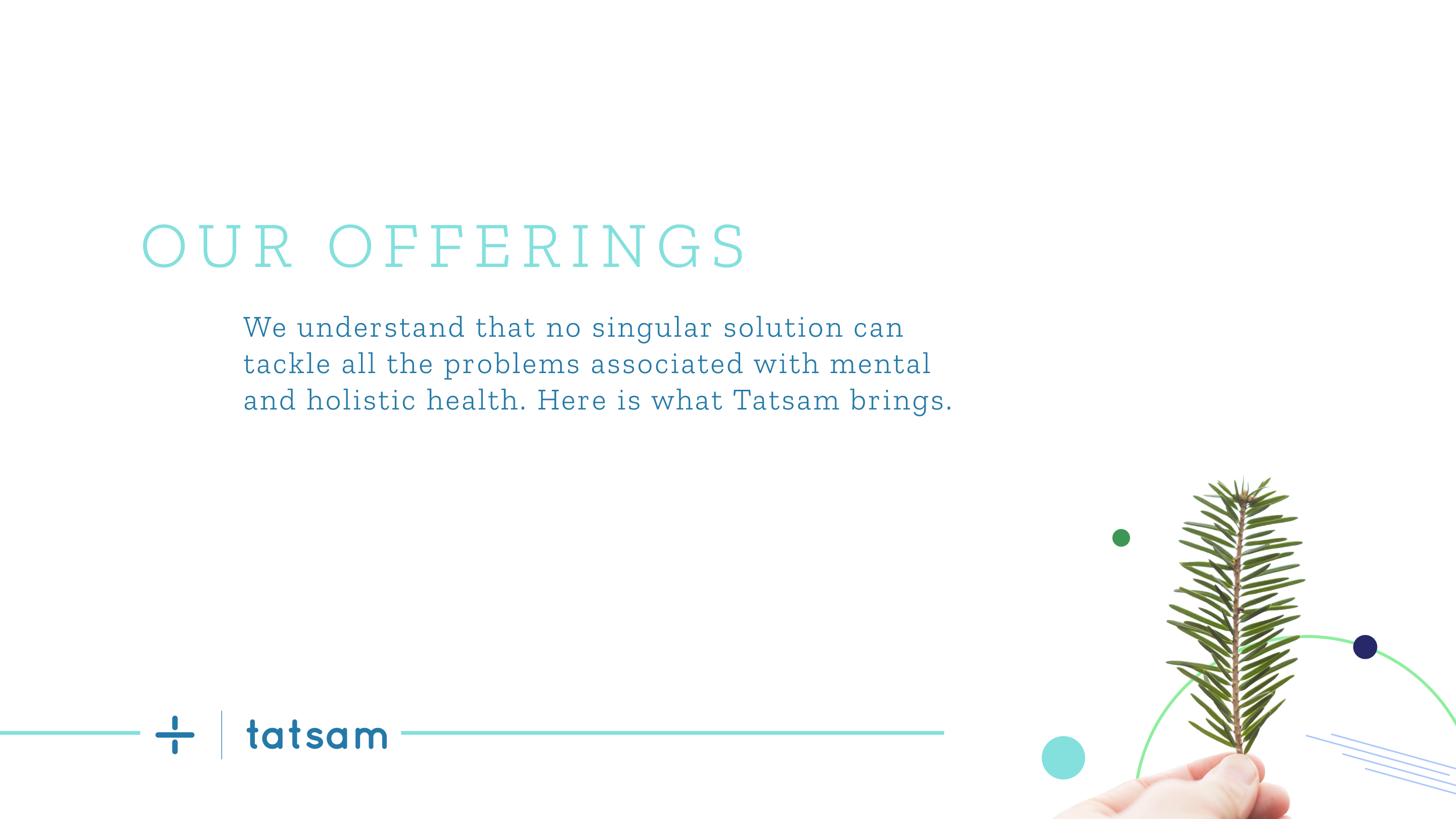 Tatsam brand book — the offering.